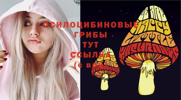 дурь Пестово