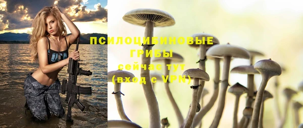 дурь Пестово