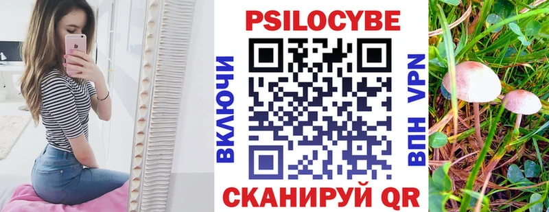 Псилоцибиновые грибы мицелий  Черняховск 