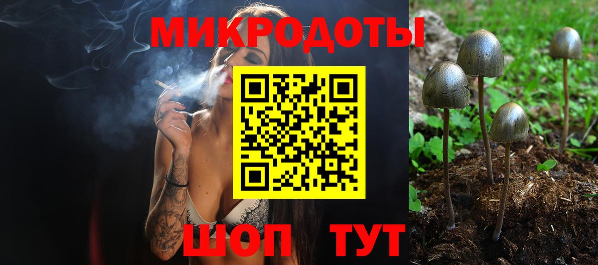 как найти закладки  Вход с VPN  Черняховск  Псилоцибиновые грибы Psilocybine cubensis  Галлюциногенные грибы GOLDEN TEACHER 